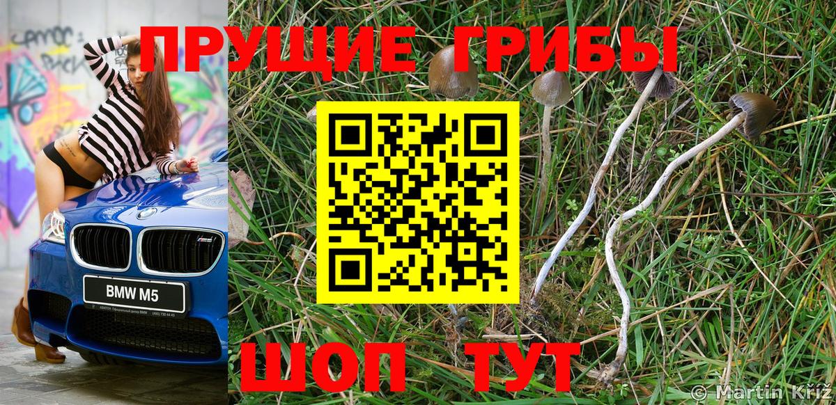 Волгоград  Галлюциногенные грибы MAGIC MUSHROOMS  Вход с VPN 